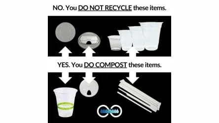 A guide showing which plastic cups, lids, and straws are not recyclable, and which labeled, compostable ones can be composted.