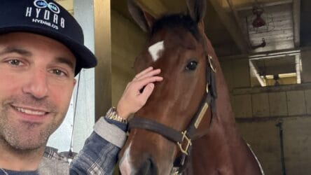 equine hydration for performance horses