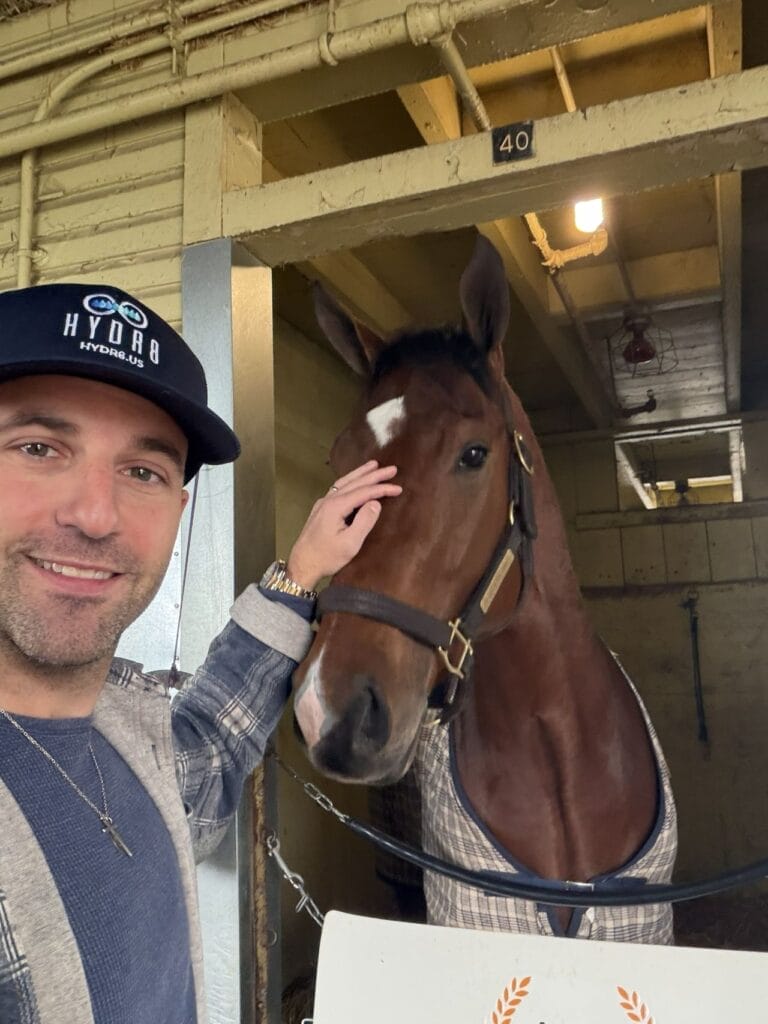 equine hydration for performance horses